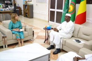 Le Premier ministre reçoit la nouvelle Coordonnatrice résidente du système des Nations unies au Mali .