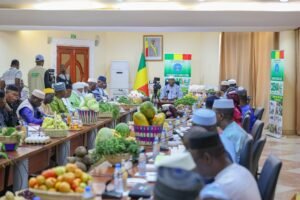 Agriculture malienne : cap sur la modernisation et la résilience lors de la 16e session du CENA .