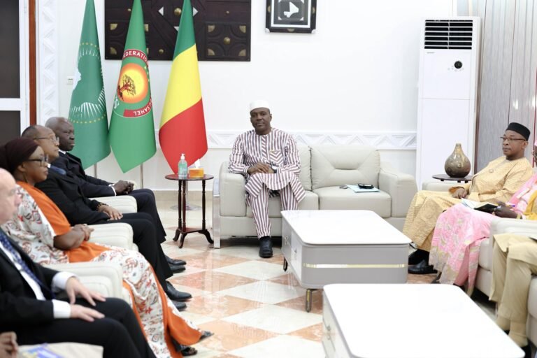 Renforcement du dialogue social : le Directeur général de l’OIT reçu par le Premier ministre malien .