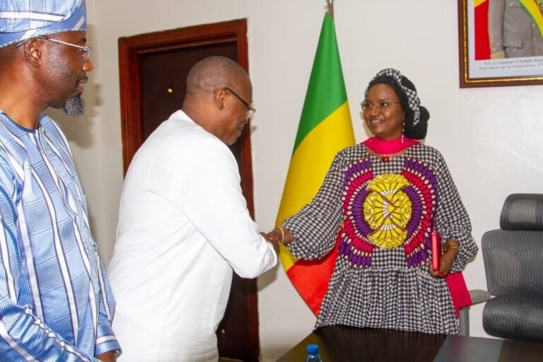 Entrepreneuriat et gouvernance : le Club des Managers d’Entreprise du Mali veut fédérer les compétences nationales .