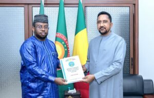 Migration, diaspora et développement : le Mali et la BAD renforcent leur concertation stratégique .