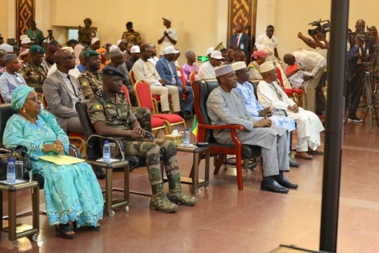 Archives nationales : le Mali mise sur la numérisation pour préserver sa mémoire institutionnelle .