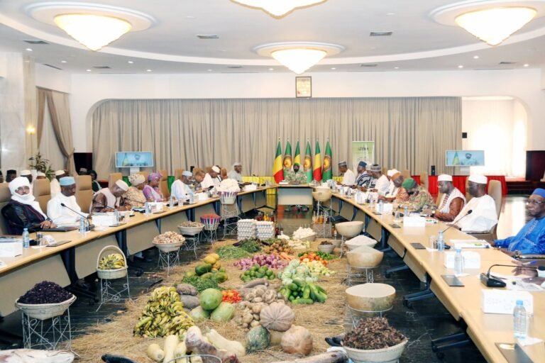 16ᵉ Conseil supérieur de l’Agriculture : le Mali fixe le cap d’une campagne agricole 2026 axée sur la productivité et la souveraineté alimentaire .