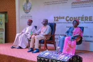 12e Conférence de l’ODEPA : Bamako accueille les ministres de l’Artisanat des 28 États membres .