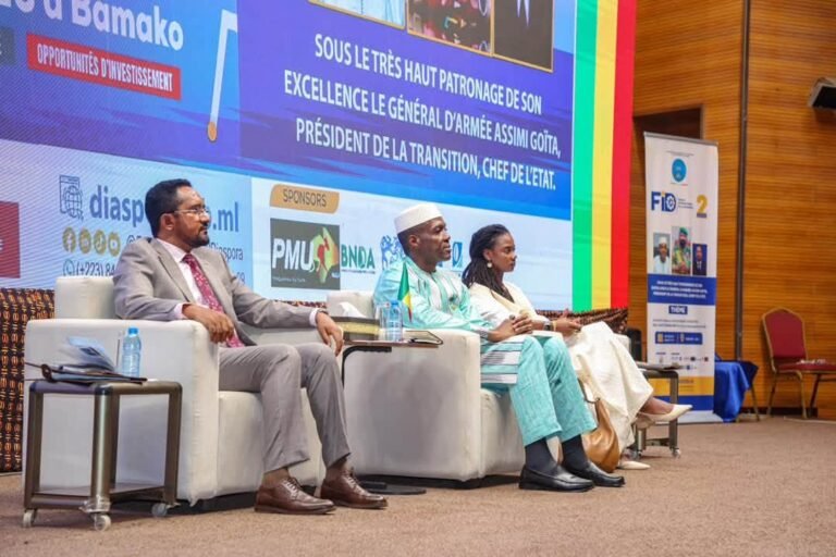 Forum international de la diaspora : le gouvernement malien appelle à une mobilisation accrue des compétences et des investissements .