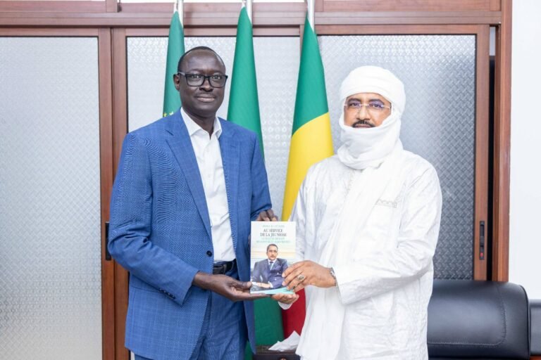 Diplomatie et diaspora : le Mali mise sur les compétences de ses ressortissants à l’étranger .